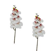 Pack De 2 Vara De Orquidea Mediana BG 301464-6 FLORIPASTORE