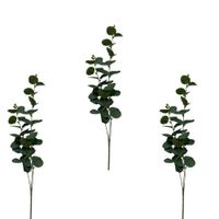 Pack De 3 Vara De Eucalipto Envejecido BG 397015 FLORIPASTORE