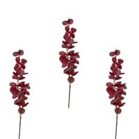 Pack De 3 Vara De Eucalipto  BG 397016 FLORIPASTORE