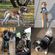 imageUrl_6