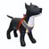 imageUrl_4