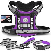 Pechera Táctica Reforzada de Color Morado/Negro Talla Xl