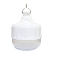 Foco led High Power Slim Recargable 50W Home Light 200901