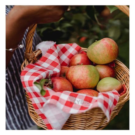 Canasta Decorativa Ovalada de Mimbre Marron Y+Agendita Canasta Decorativa Ovalada de Mimbre Marron Y+Agendita