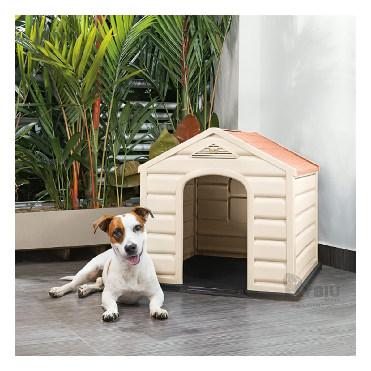 Casa de Transporte Rapido y Tamaño Mediana Y+Papel de Regalo