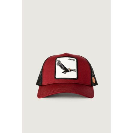 image-4f7498913fe0427586ebec17f6cfa854 image-4f7498913fe0427586ebec17f6cfa854