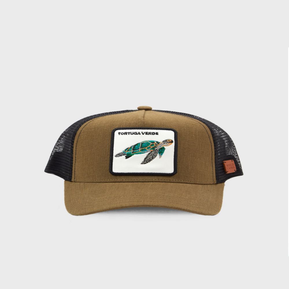 image-a6bf161bbc2c46b18752111b61d4b0ad image-a6bf161bbc2c46b18752111b61d4b0ad