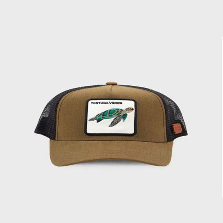 image-a6bf161bbc2c46b18752111b61d4b0ad image-a6bf161bbc2c46b18752111b61d4b0ad