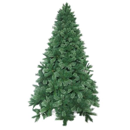 image-910b2b43d9c941feb5168a93820784cd