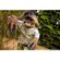 image-81c273d0f89743d1a6799622d7baf4bf