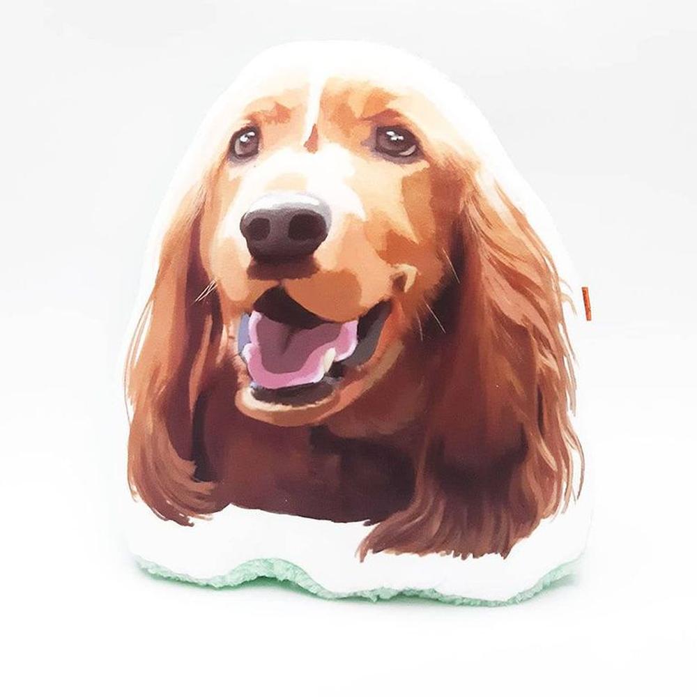 imageUrl_1 imageUrl_1