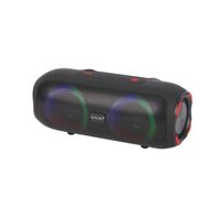 MINI PARLANTE CAFINI CN-S6004