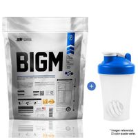 Proteína Suero de Leche Bigm 5kg Vainilla
