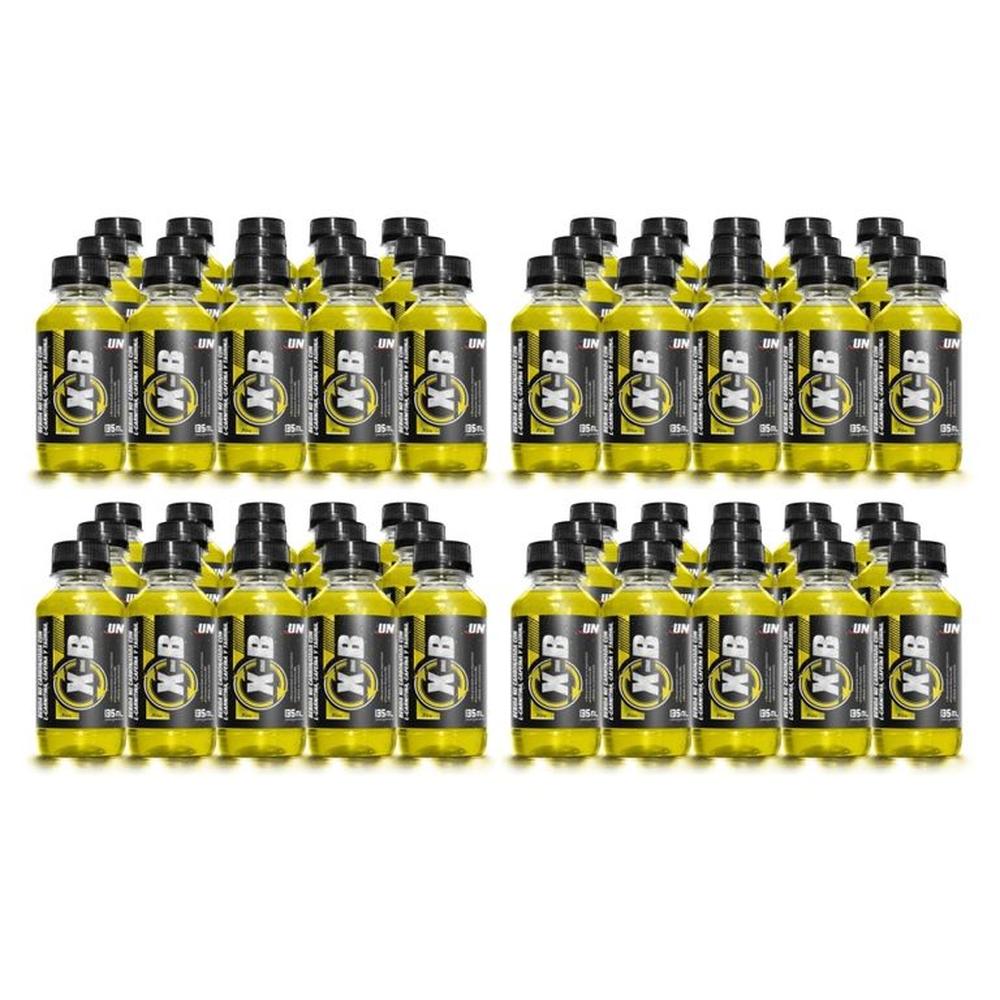 Quema grasa X-B 4 Paquetes De 15 Botellas 135ml L-Carnitina PIÑA Quema grasa X-B 4 Paquetes De 15 Botellas 135ml L-Carnitina PIÑA