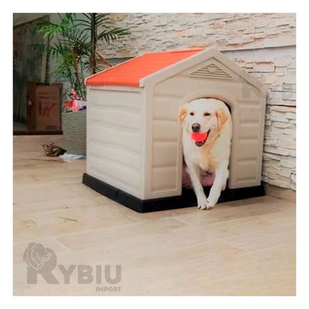 Casa de Transporte Rapido y Tamaño Grande Y+Papel de Regalo