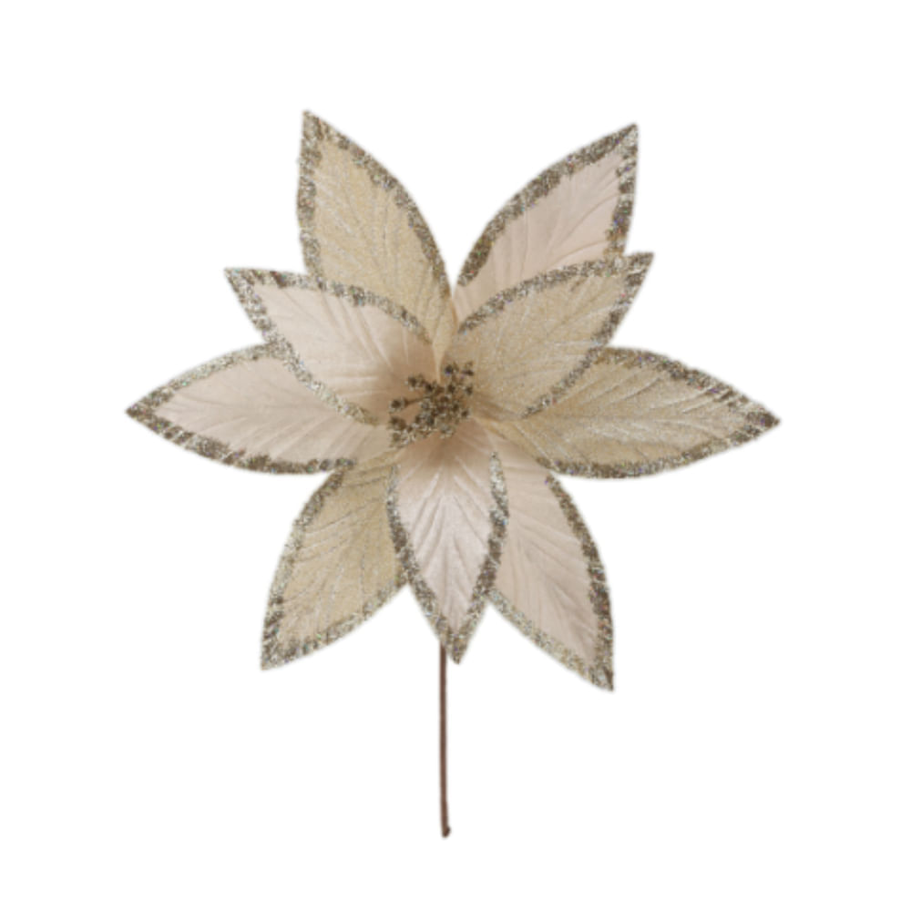 Poinsettia Champagne 30 Cm