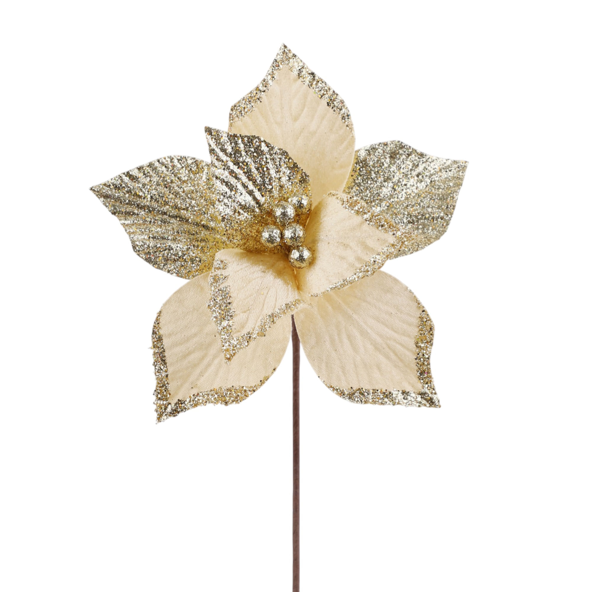 Poinsettia Dorado - 24 Cm