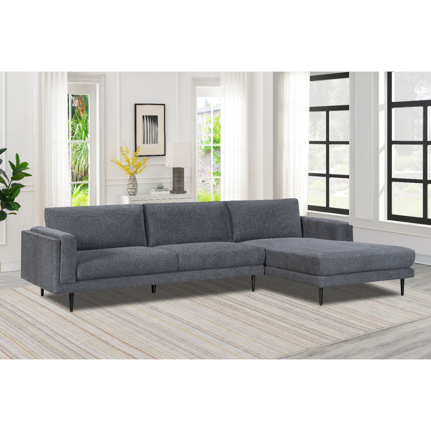 Seccional Derecho Mariana Gris