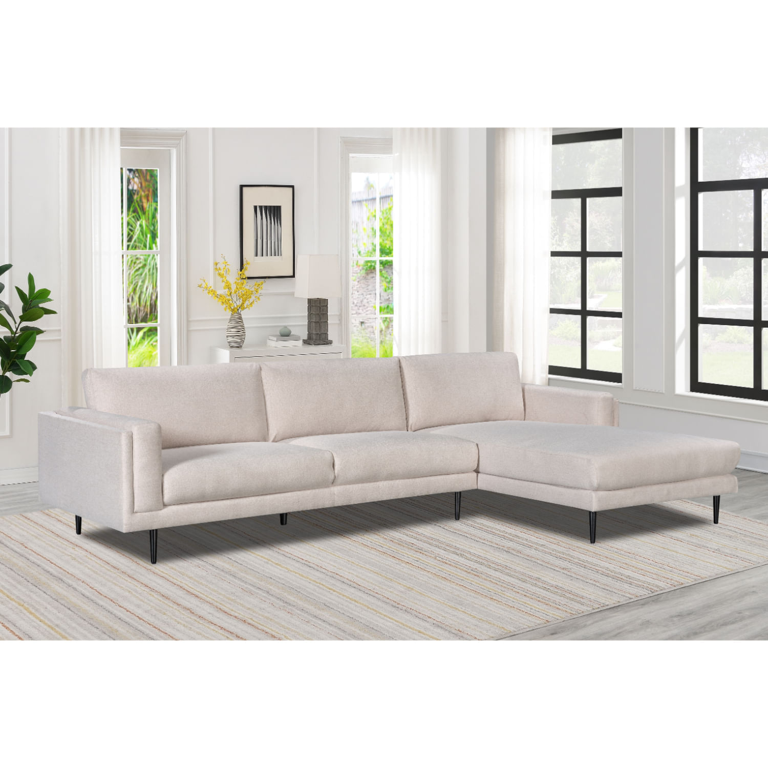 Seccional Derecho Mariana