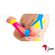 imageUrl_5