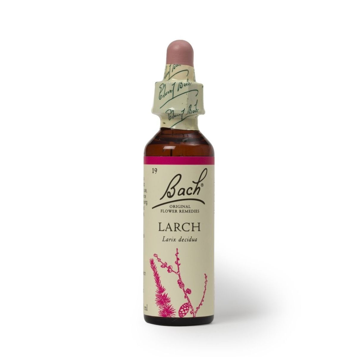 Esencia de Flores de Bach Larch 20ml  para las Personas con Complejo de Inferioridad.