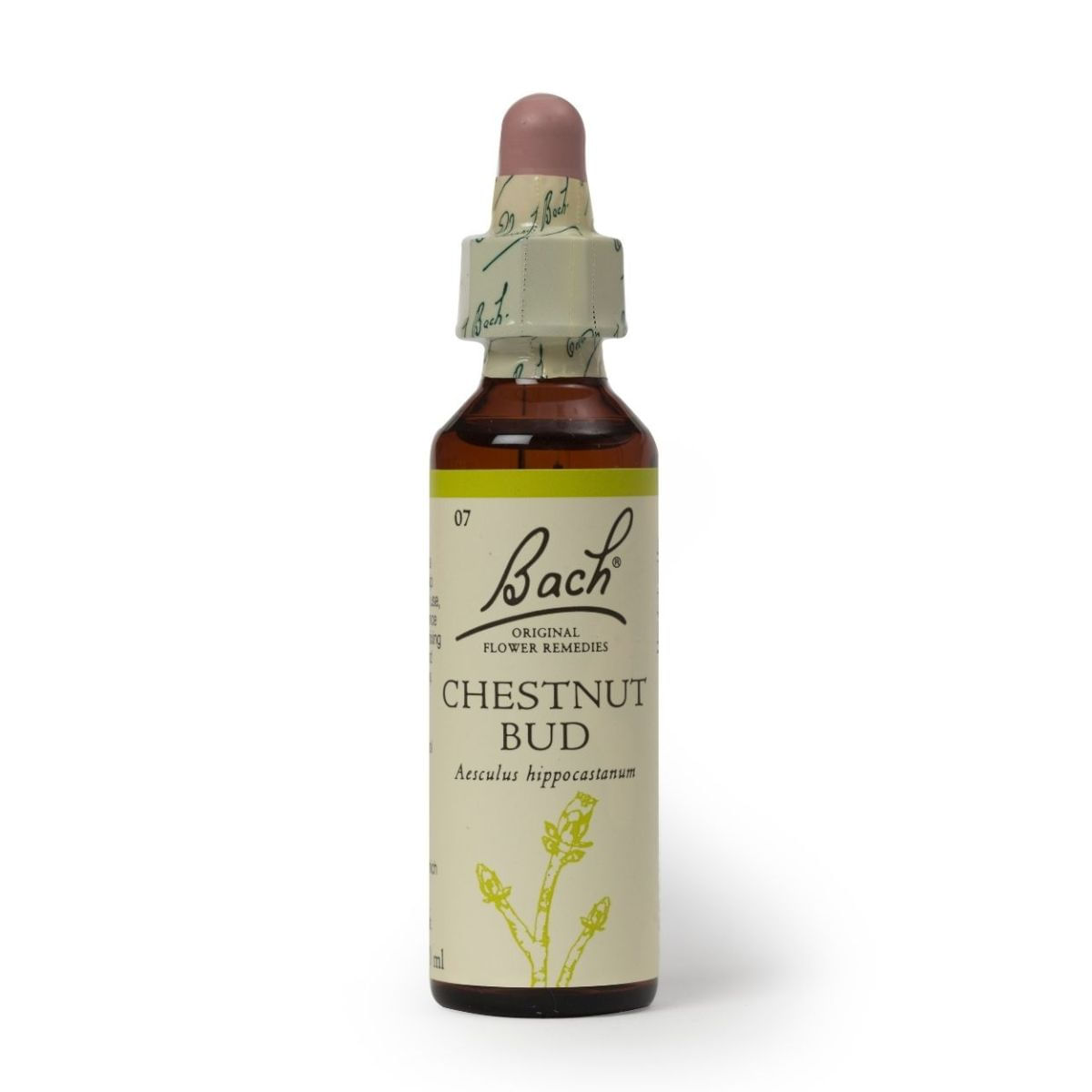 Esencia de Flores de Bach Chestnut Bud 20ml  para los que No Aprenden de sus Errores.