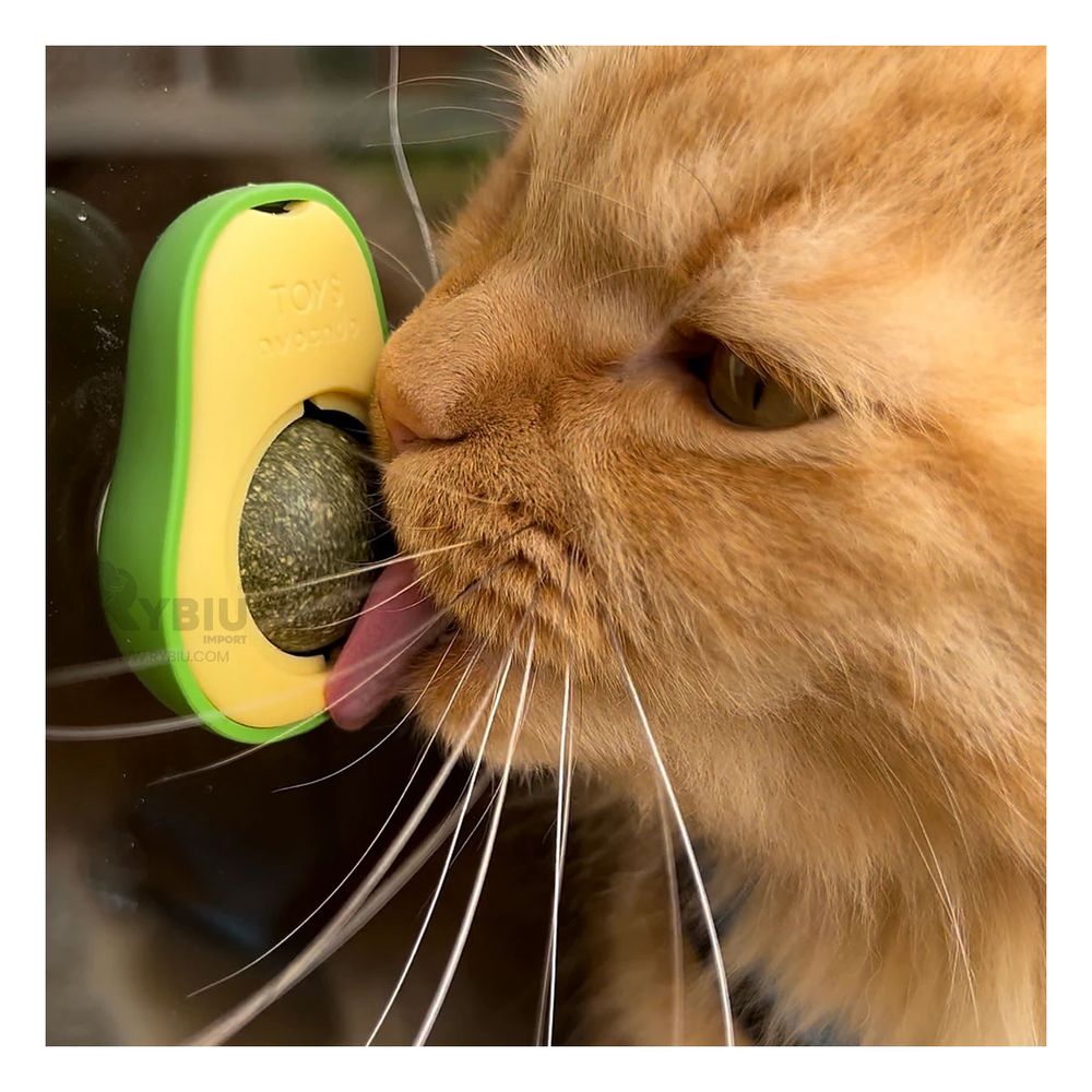 Catnip Divertido para Mascotas Color Verde Y+Papel de Regalo Catnip Divertido para Mascotas Color Verde Y+Papel de Regalo