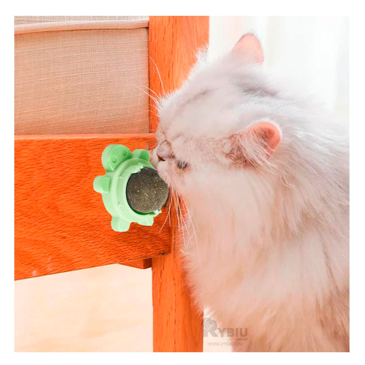 Bola Pets para Mascota en Verde Y+Stickers