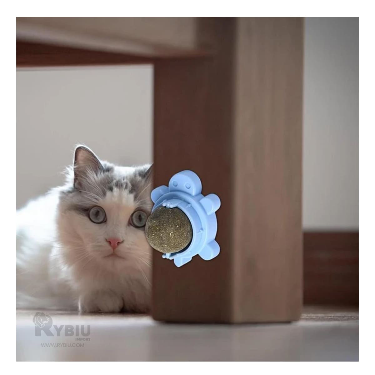 Bola Minino Catnip de Color Celeste Y+Stickers