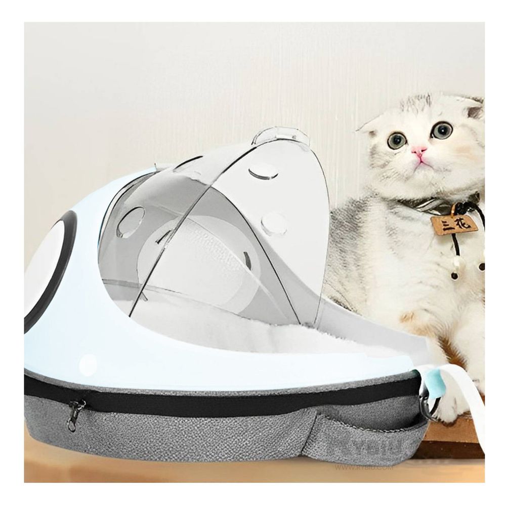 Mochila Sofisticada y Util de Color Celeste Y+Agendita Mochila Sofisticada y Util de Color Celeste Y+Agendita