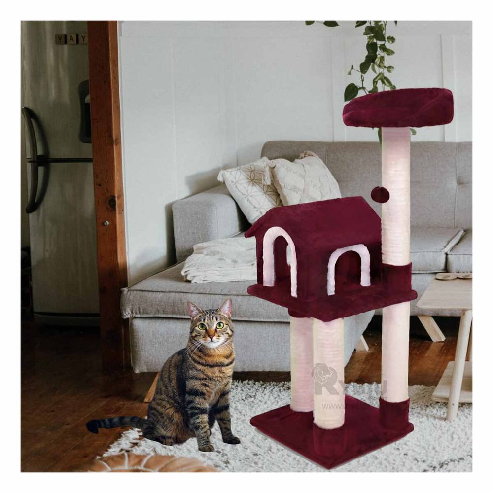 Gym Elegante para Felinos de Color Guinda Y+Papel de Regalo Gym Elegante para Felinos de Color Guinda Y+Papel de Regalo