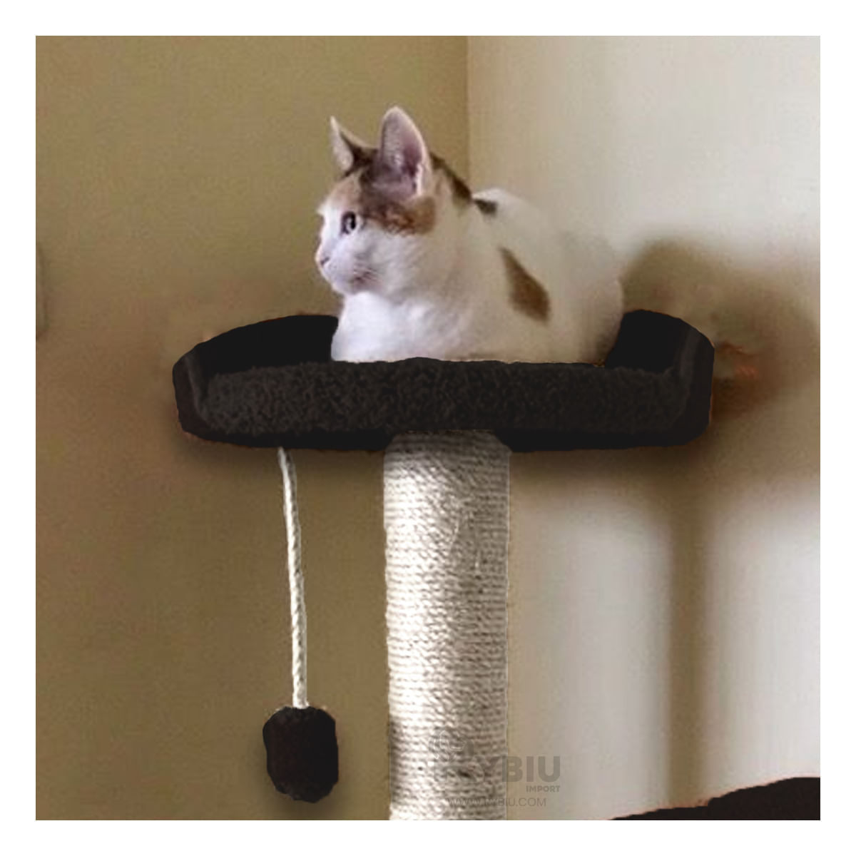 Gym en Diseño 3 Niveles Negro Y+Stickers