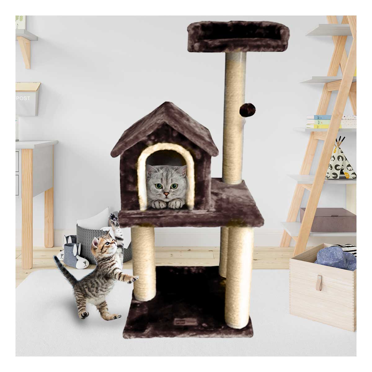 Gym Moderno para Gatos de Color Marron Y+Papel de Regalo