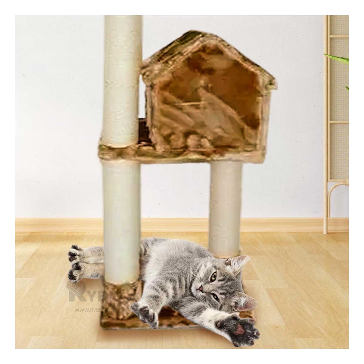 Gym Moderno y Elegante de Color Mostaza Y+Stickers