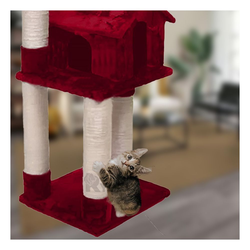 Gym de 3 Pisos para Gatos de Color Rojo Y+Papel de Regalo Gym de 3 Pisos para Gatos de Color Rojo Y+Papel de Regalo