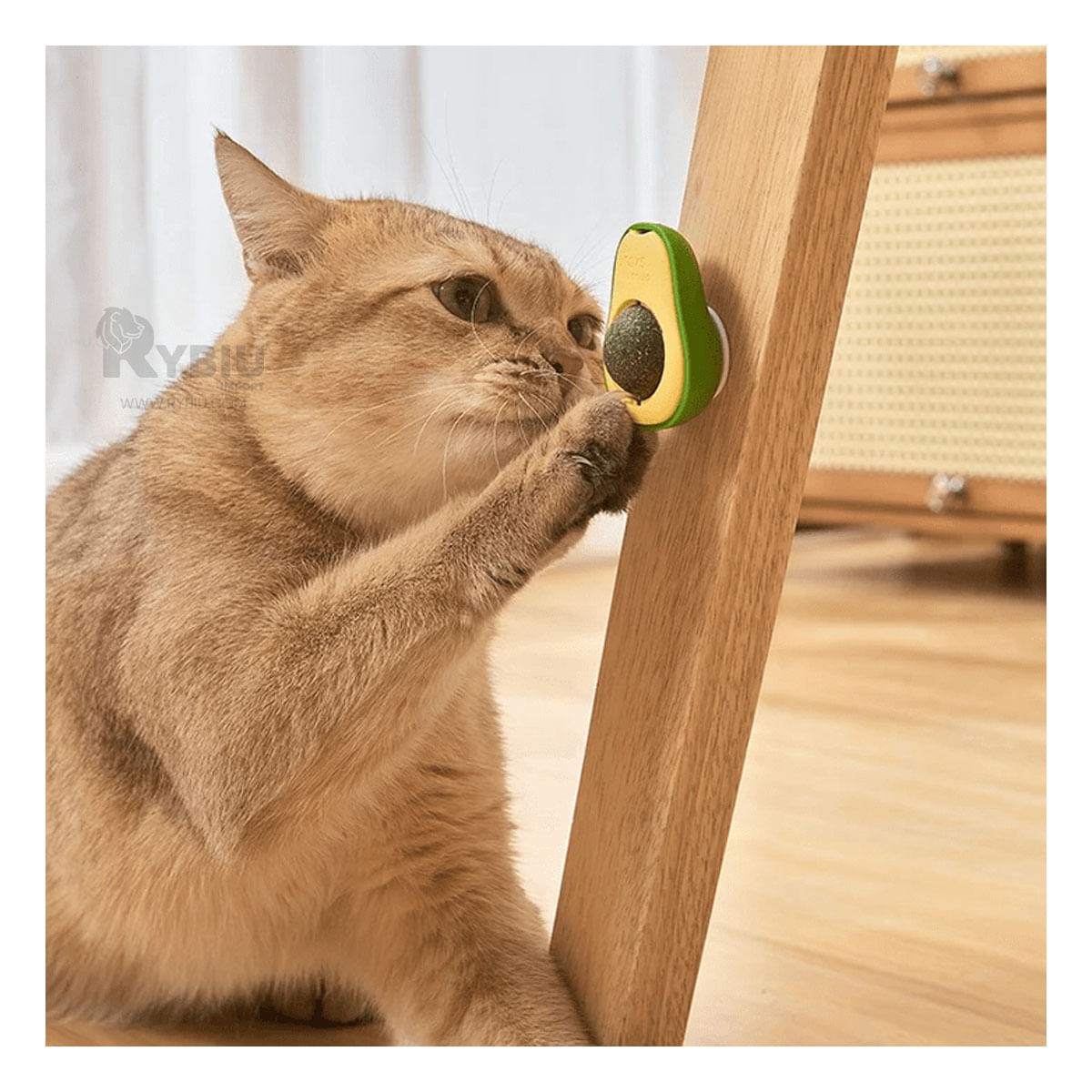 Catnip para Gatos en Forma de Palta en Color Verde