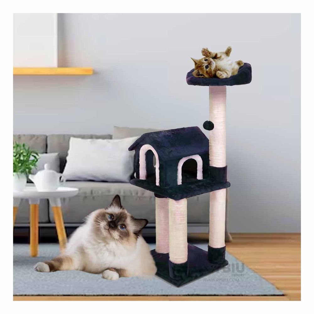 Centro para Entretener a Gatos Azul Y+Papel de Regalo Centro para Entretener a Gatos Azul Y+Papel de Regalo