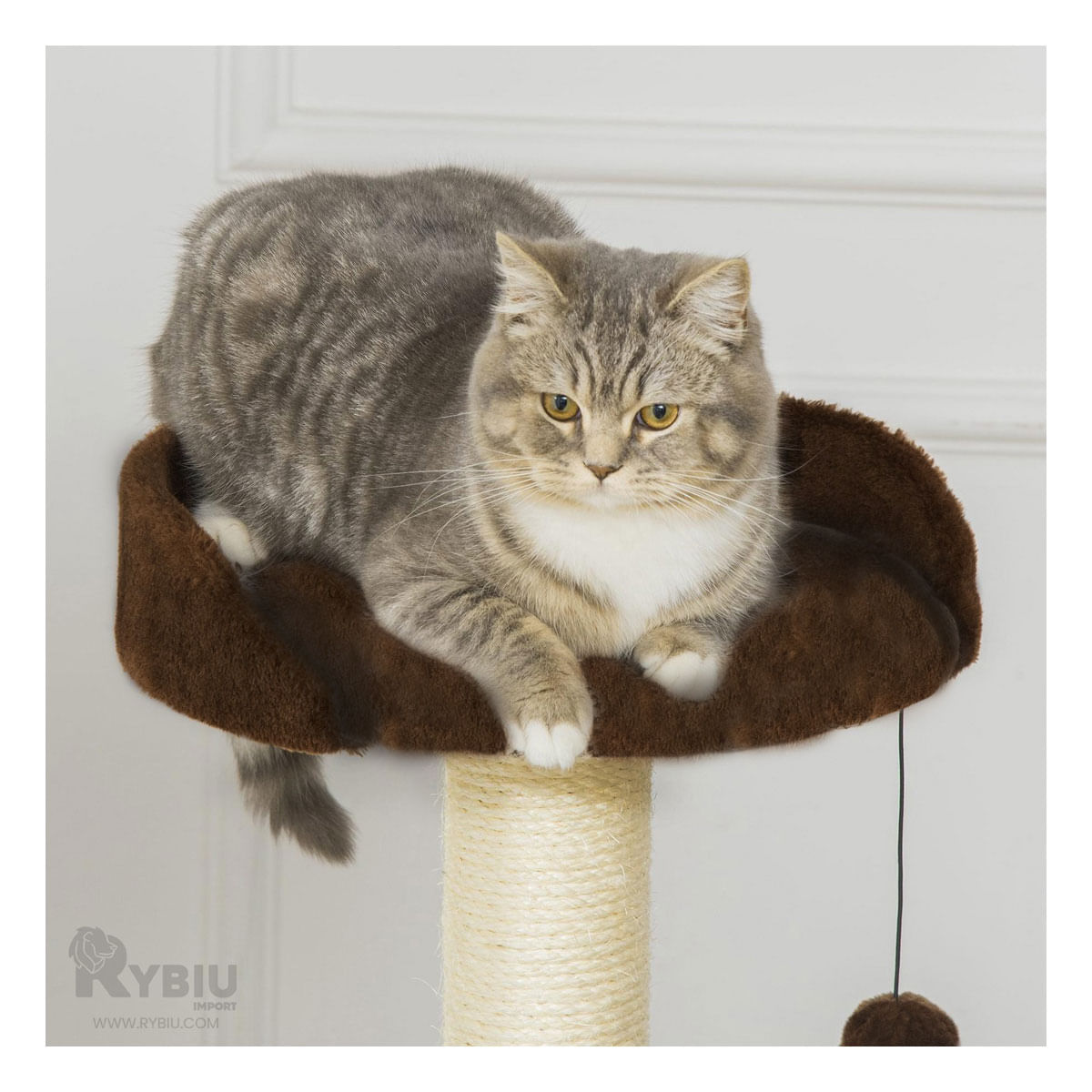 Gym Resistente y Duradero de Color Marron Y+Stickers