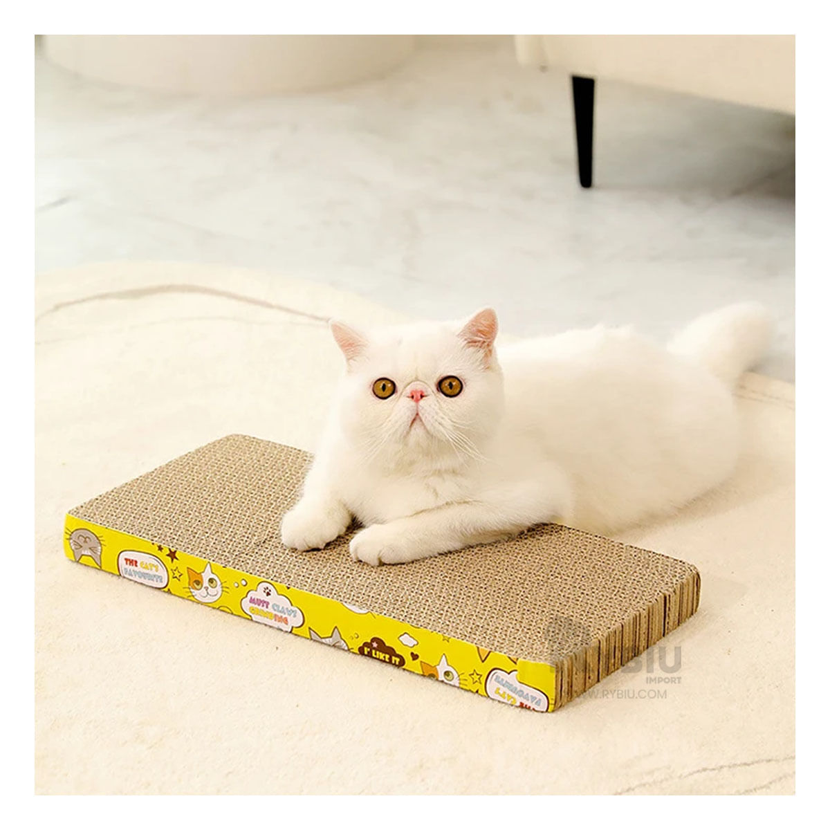 Rascador Util de Gatos con Forma Cuadrada de Carton