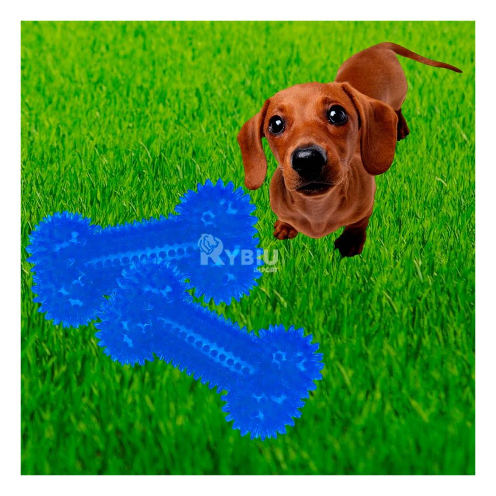 Set 2 Juguetes en Forma de Huesos para Perro Azul Set 2 Juguetes en Forma de Huesos para Perro Azul