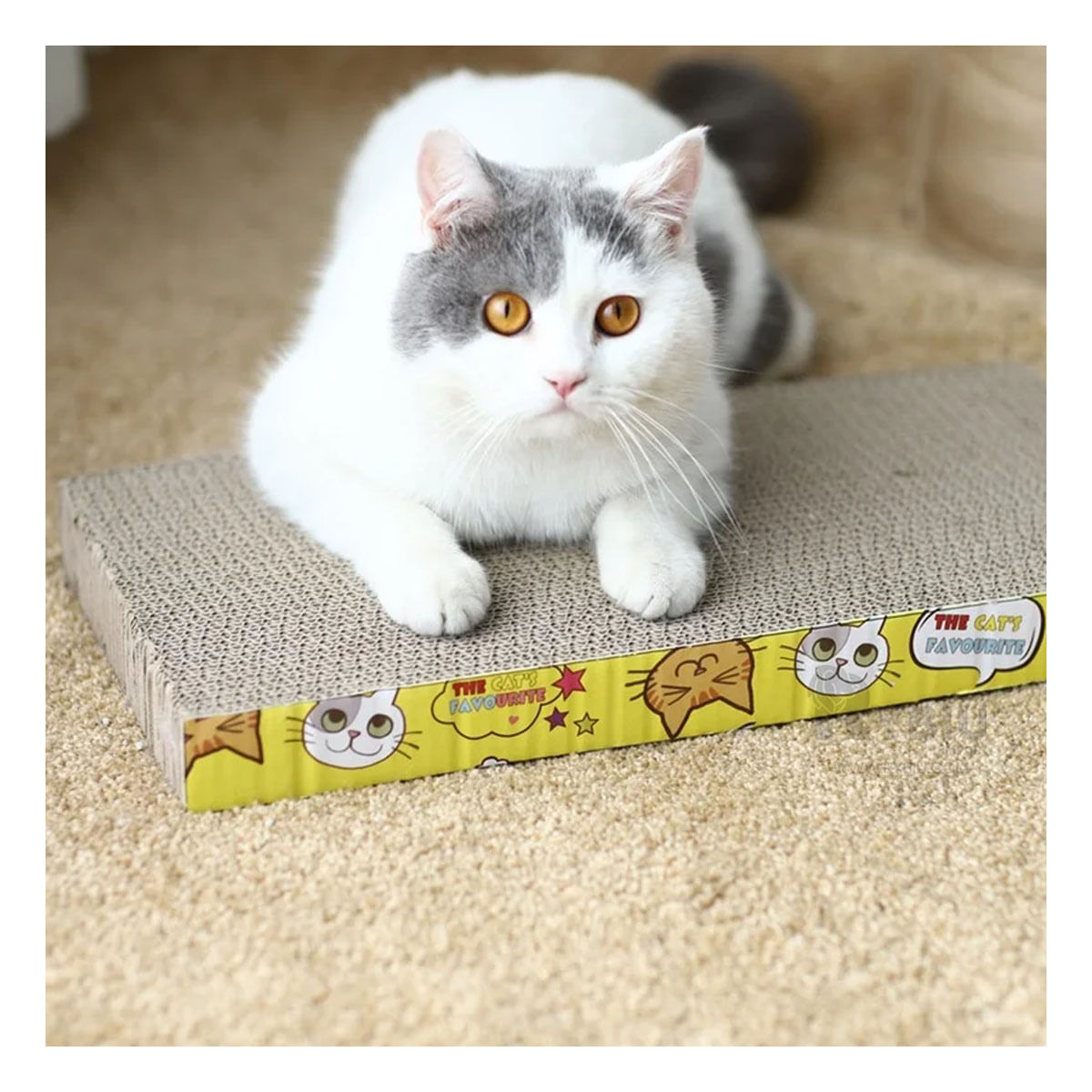 Rascador de Carton con Diseño Cuadrado Y+Papel de Regalo