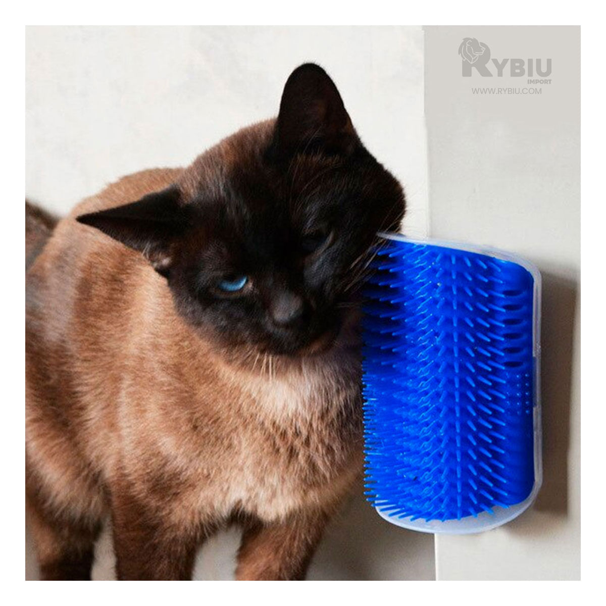 Rascador Pet Esquinero de Color Azul Y+Papel de Regalo