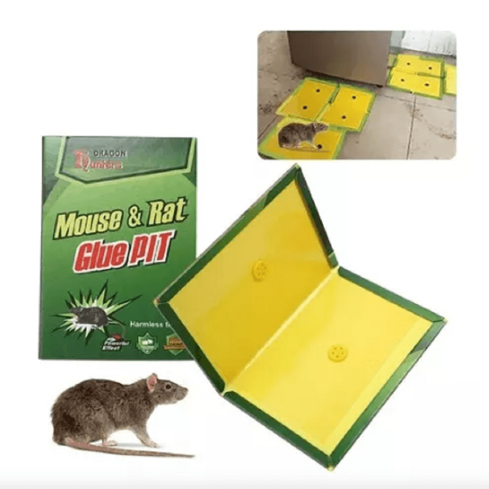 Trampa Pega Rata Trampa Pega Rata
