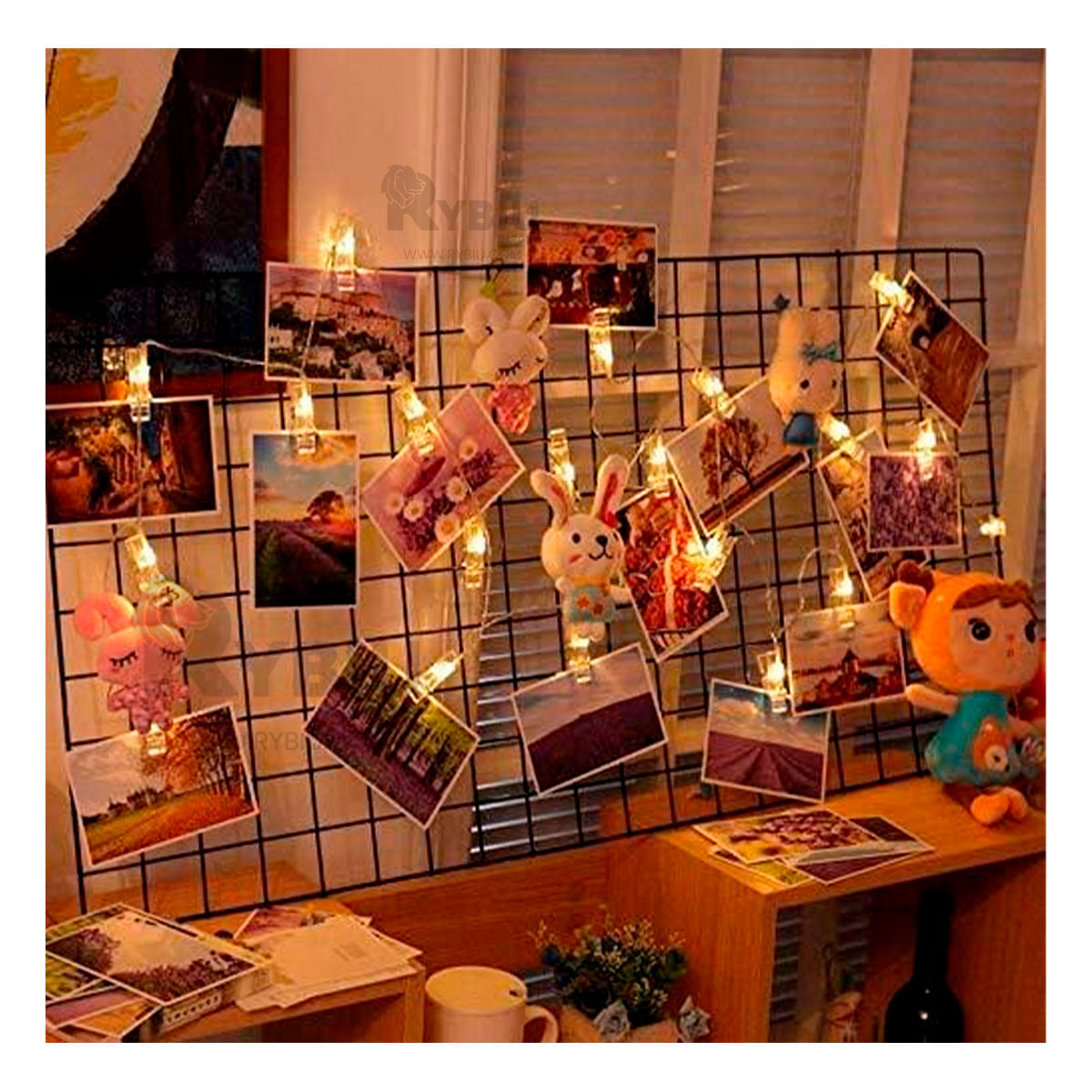 Luces Resistente Colgantes de Fotos Y+Stickers