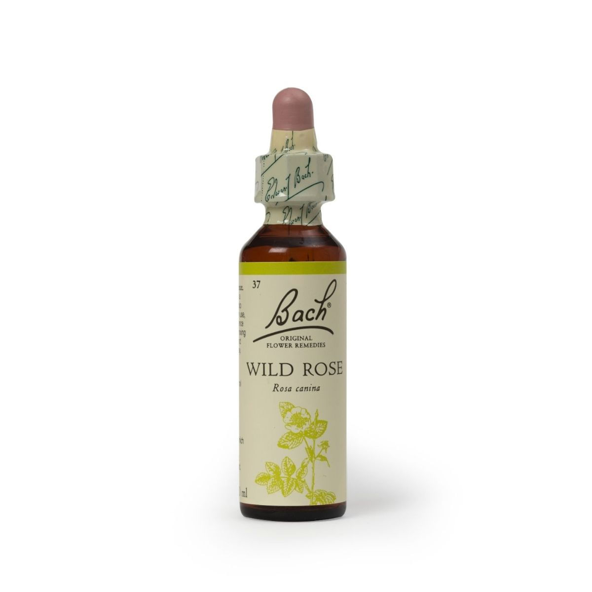 Esencia de Flores de Bach Wild Rose 20ml para la Apatía y la Indiferencia.