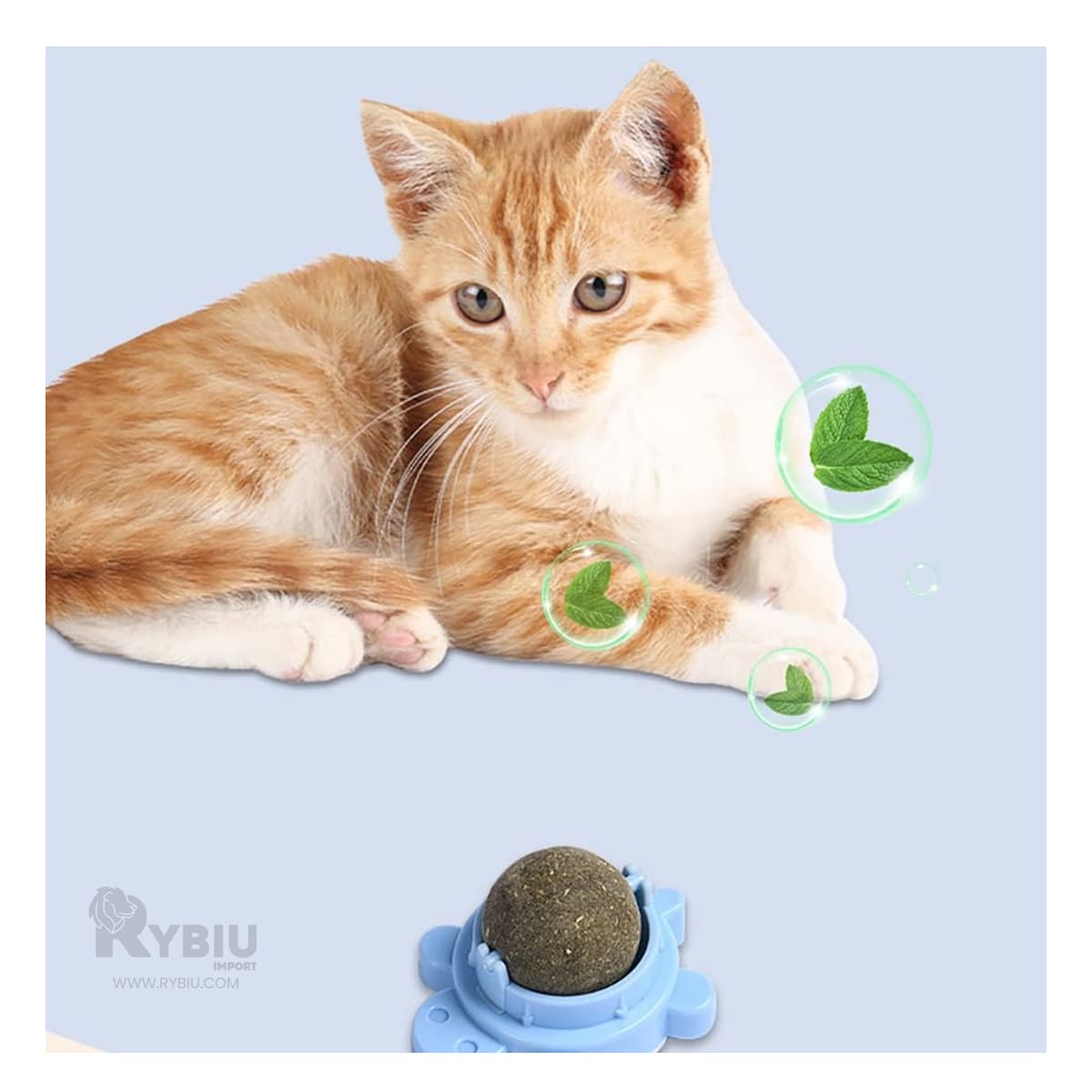 Bola de Hierba de Gatos en Color Celeste Y+Papel de Regalo