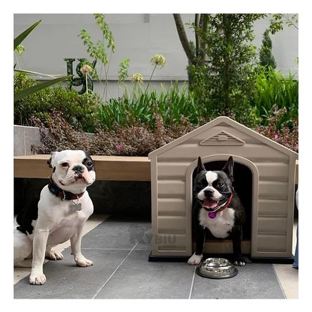 Casa Moderna para Cachorros en Tamaño Mediana Y+Stickers