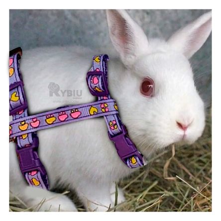 Arnes para Conejo y Gato de Paseo Delgado en Color Lila Arnes para Conejo y Gato de Paseo Delgado en Color Lila