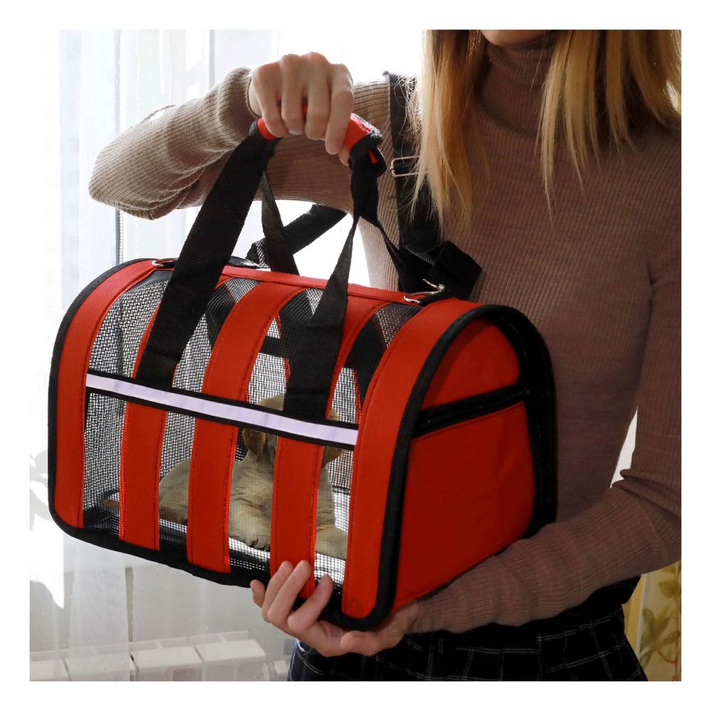 Transportador Elegante y Util de Color Rojo Y+Agendita Transportador Elegante y Util de Color Rojo Y+Agendita