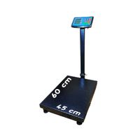 Balanza Industrial 300 Kg HIPOCAMPO con Plataforma Grande HP-300KG